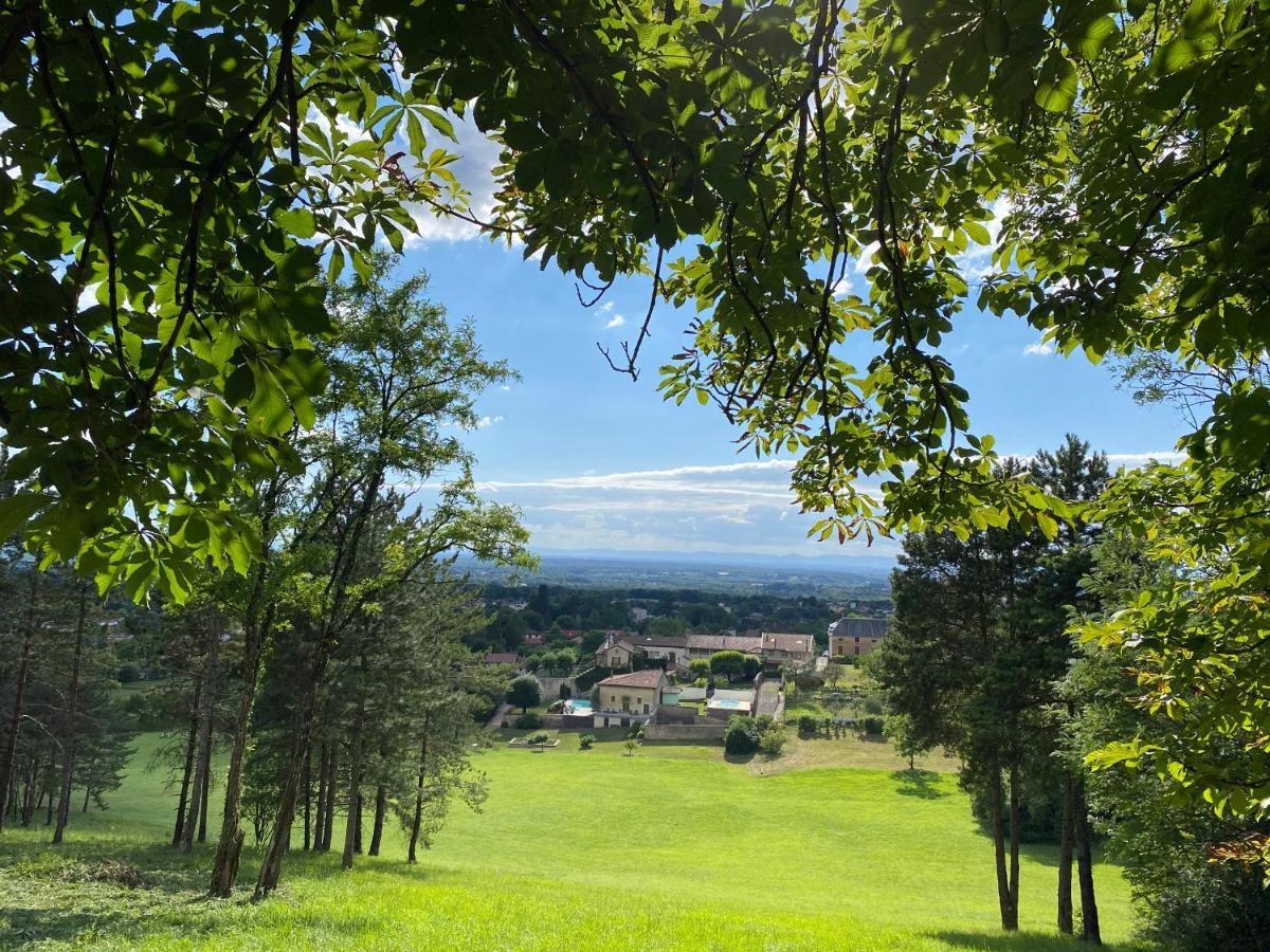 Clos De Mont July, Architecture Xviiie Au Coeur De La Nature Ceyzeriat エクステリア 写真