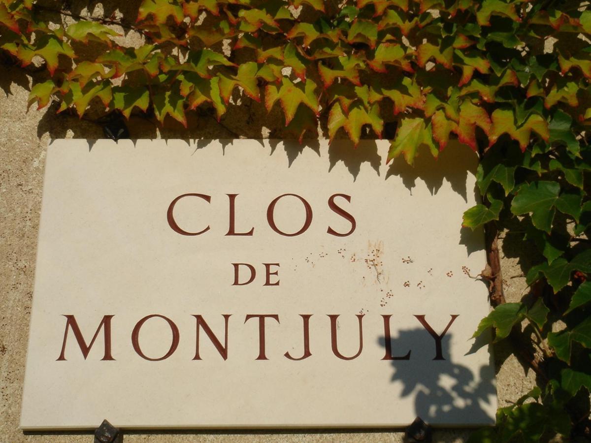 Clos De Mont July, Architecture Xviiie Au Coeur De La Nature Ceyzeriat エクステリア 写真