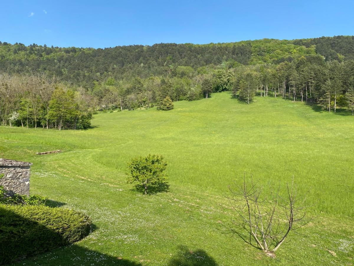 Clos De Mont July, Architecture Xviiie Au Coeur De La Nature Ceyzeriat エクステリア 写真