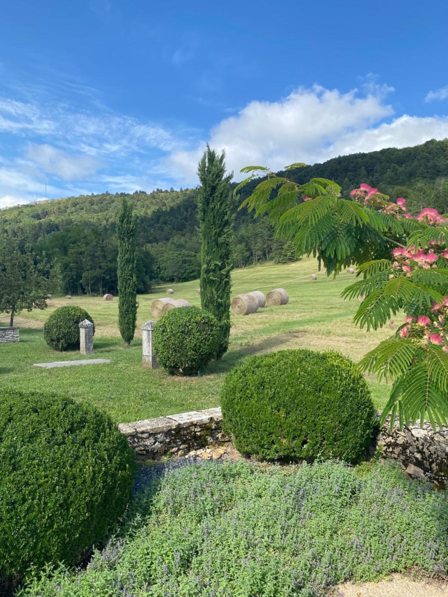Clos De Mont July, Architecture Xviiie Au Coeur De La Nature Ceyzeriat エクステリア 写真
