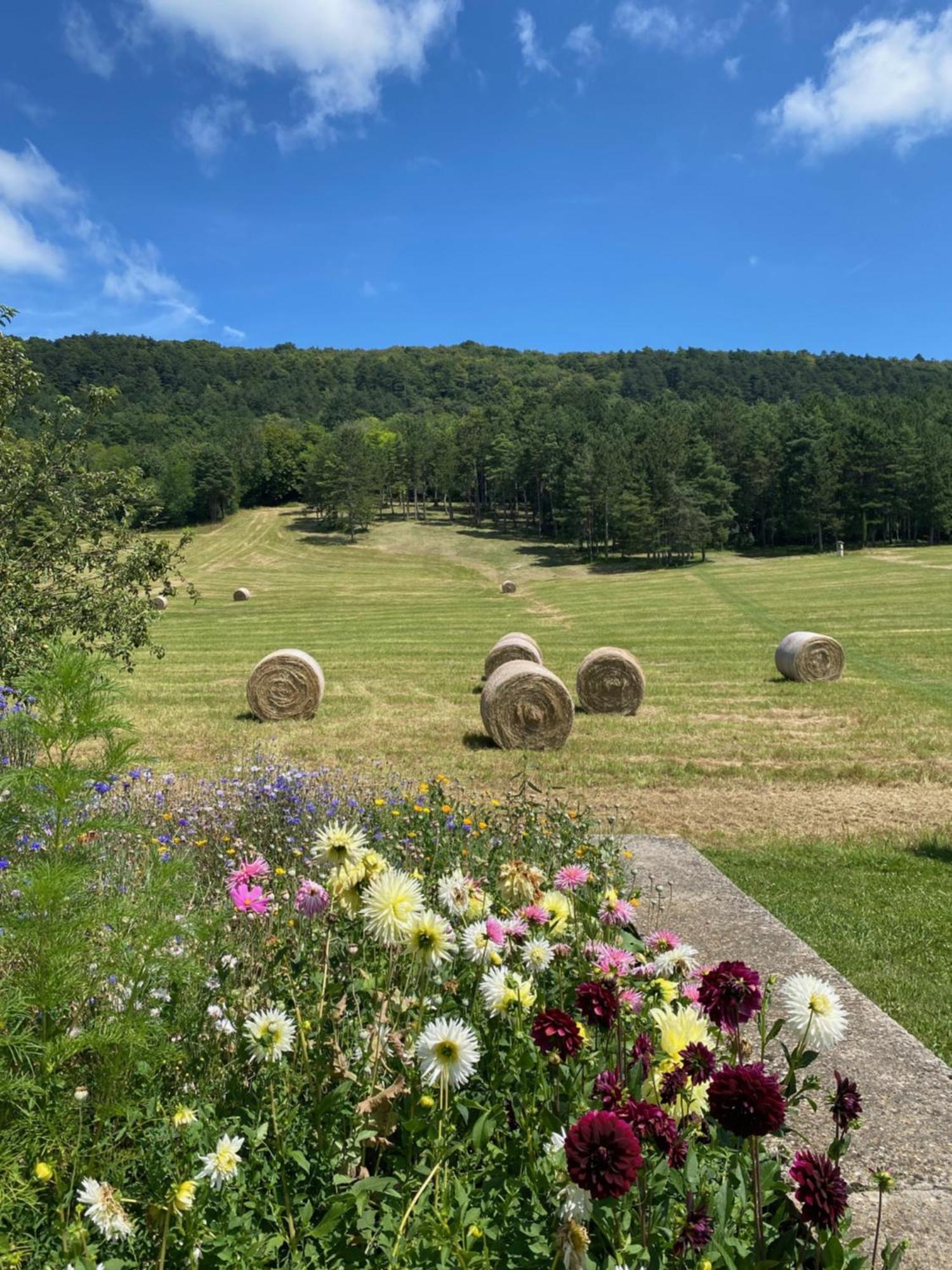 Clos De Mont July, Architecture Xviiie Au Coeur De La Nature Ceyzeriat エクステリア 写真